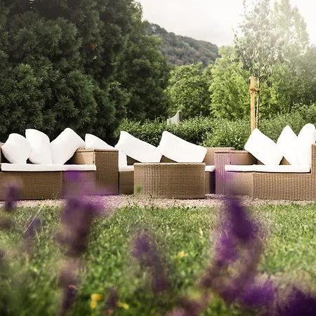 Ferien Weingut Schneider بيت ضيافة إيلينز-بولتيرسدورف