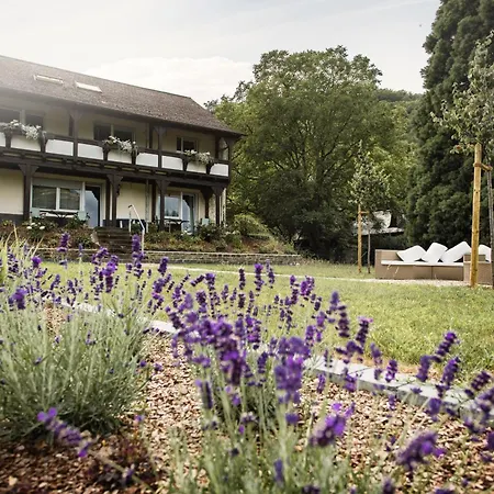 Ferien Weingut Schneider エレンツ・ポルタースドルフ