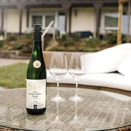 Ferien Weingut Schneider ゲストハウス 3*