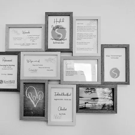 Ferien Weingut Schneider بيت ضيافة