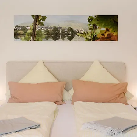 Ferien Weingut Schneider بيت ضيافة