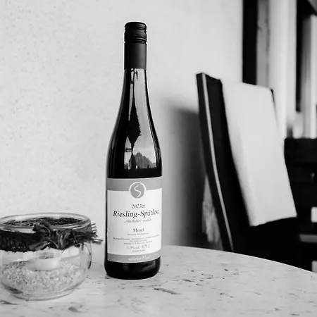 Ferien Weingut Schneider ゲストハウス エレンツ・ポルタースドルフ