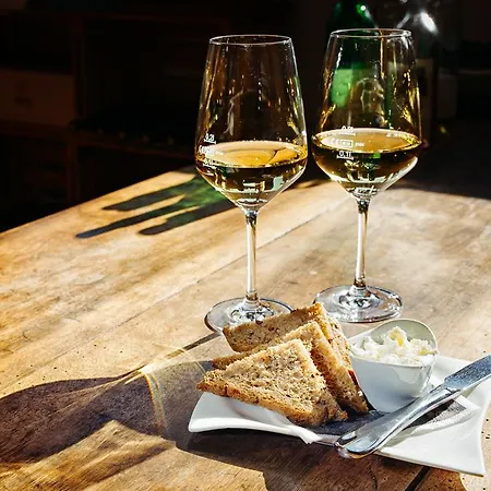 Pensionat Ferien Weingut Schneider Ellenz-Poltersdorf