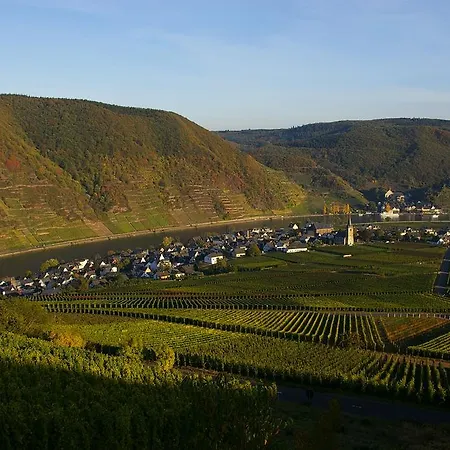 Ferien Weingut Schneider 3* Ellenz-Poltersdorf