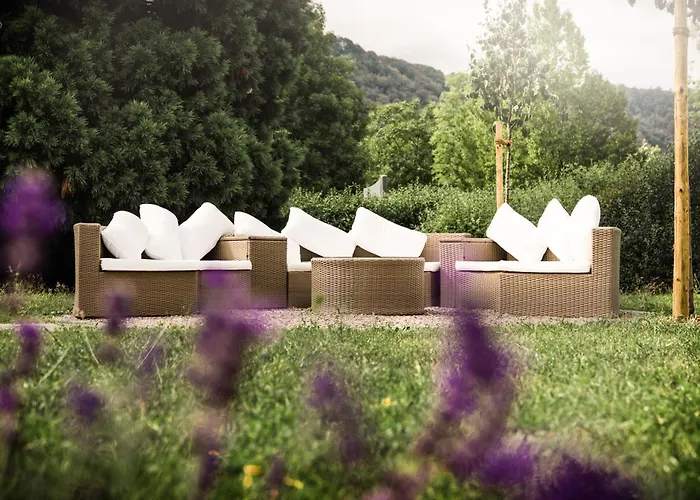 Ferien Weingut Schneider ゲストハウス エレンツ・ポルタースドルフ