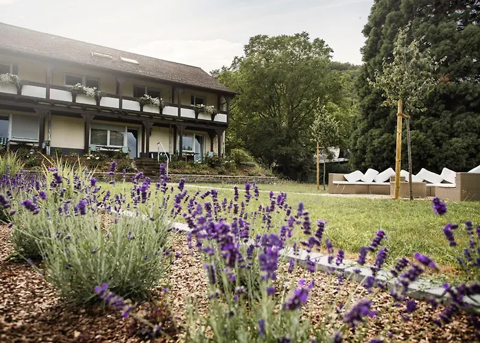 Ferien Weingut Schneider エレンツ・ポルタースドルフ