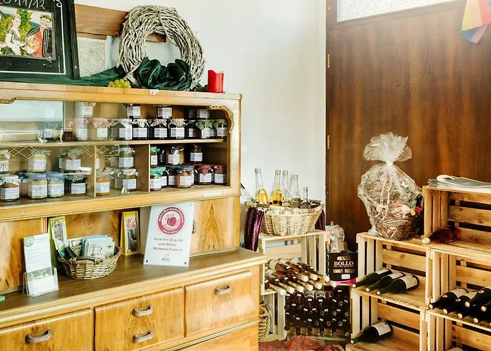 Gæstehus Ferien Weingut Schneider Ellenz-Poltersdorf