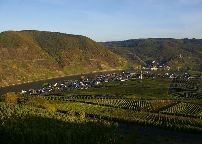 Ferien Weingut Schneider 3* Ellenz-Poltersdorf